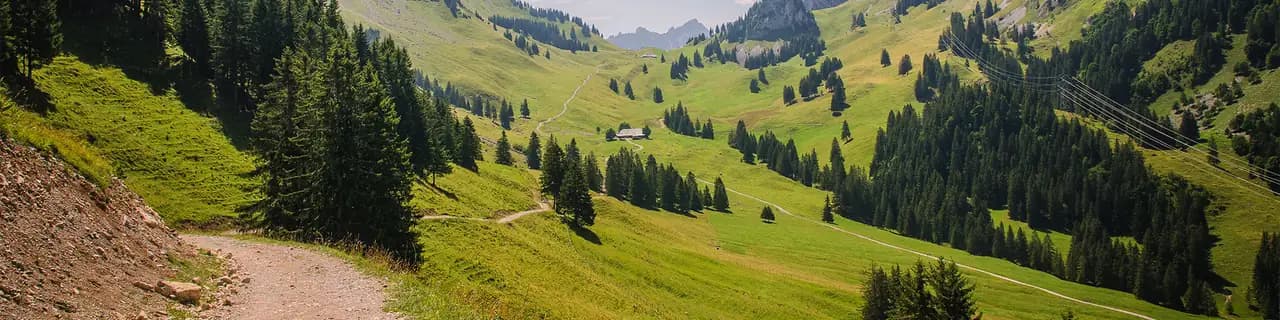 Ein Feldweg schlängelt sich einen Hang entlang und führt hinab in ein offenes Alpental, mit Wiesen und Wäldern zu beiden Seiten.